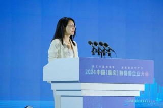 独角兽聚山城・共话新质生产力 ――2024 中国（重庆）独角兽企业大会成功举办