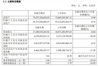 药明康德2024年上半年净利润同比下降两成