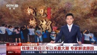 中央新闻4台直播在线观看(中央新闻4台直播在线观看视频)