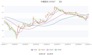 中鼎股份：预计2024年上半年净利同比增长29.89%-41.19%