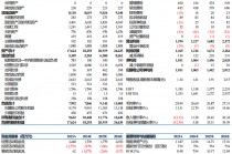 【东吴电新】新宙邦2024年三季报：Q3业绩符合预期，氟化工利润环比向上