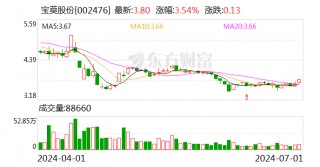 宝莫股份：拟向实控人旗下美信投资定增募资不超4.5亿元 用于补充流动资金