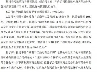 一地发现超40条金矿脉，这只黄金股躺赢？公司最新回应！AI医疗有新利好