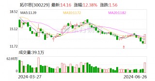 拓尔思：出售闲置房产，转让价格为2000万元