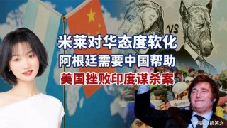 阿根廷亲中国还是美国(阿根廷跟哪个国家关系好)