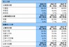 单季净利润仅台积电1%，中芯国际8000亿市值是泡沫吗？