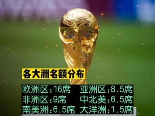 2022世界杯各大洲名额分配的简单介绍