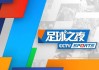 2016法国欧洲杯cctv5(2016法国欧洲杯俄罗斯和英格兰球迷)