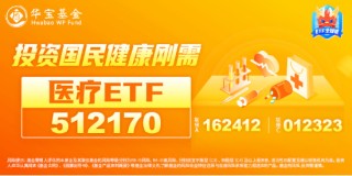 3400点，拿下！海外突传重磅，CXO狂飙，医疗ETF（512170）冲击4%！能守亦能攻，800红利低波ETF放量涨1.67%