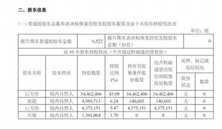 突然公告：“董事长被查、留置”