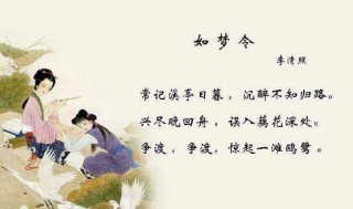 李清照古诗词(李清照古诗词大全)