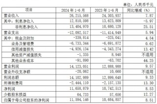 南京银行2024半年报发布！实现归母净利润115.94亿元 私行AUM达1313.5亿元