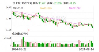 拉卡拉上半年毛利率提升 外卡交易金额达去年全年1.7倍