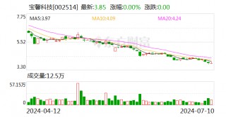 宝馨科技：预计2024年上半年净利润亏损7500万元~1.45亿元