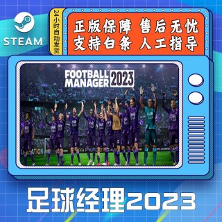 足球经理2023(足球经理2023手游攻略)