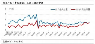 国庆节后东南沿海玉米价格略涨 远期价格或有松动