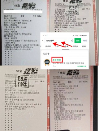 310v大赢家体育比分(大赢家310足球实时比分)