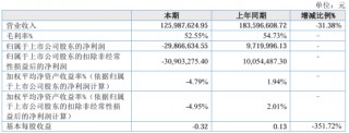 立方控股2024年上半年营收1.26亿 城市停车项目下降