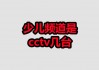 少儿频道在线直播观看(少儿频道在线直播观看cctv14)