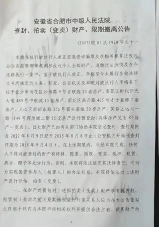 合肥女子在长沙坐拥87套房，因涉罪被查封，即将被法院拍卖！