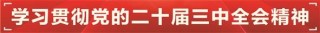 推动区域一体化 以高质量发展建成国际一流湾区