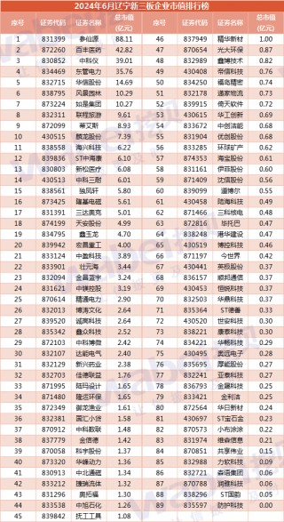 2024年6月辽宁新三板企业市值排行榜：12家企业去年净利润超3000万元