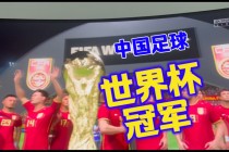 巴西无缘2026世界杯(巴西无缘2026世界杯欧洲杯)