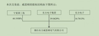 东方电子两大国资股东“内斗”，谁是谁非？