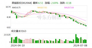 黑猫股份：预计2024年上半年亏损4200万元-6000万元