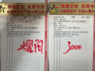 足彩胜负开奖结果查询(足彩胜负开奖结果查询表)