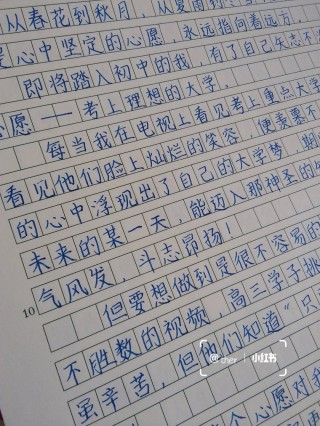 我的心愿450字作文(我的心愿450字作文六年级下册)