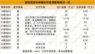 碧桂园已停牌待刊发2023年度业绩的简单介绍