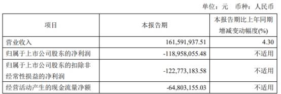 破发股百奥泰董事长一致行动人拟减持 近2年1期亏损  第4张