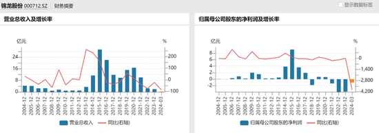 “券商影子股”决定“息影”，锦龙股份放弃两块牌照  第5张