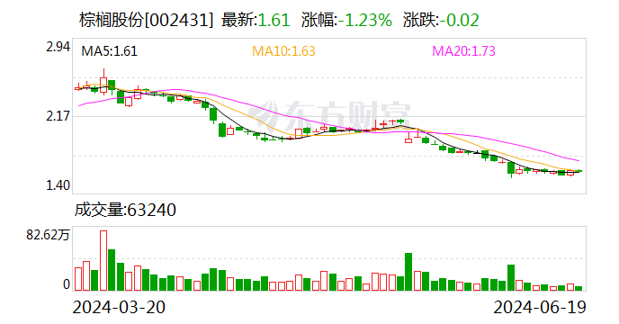 深交所向棕榈生态城镇发展股份有限公司及相关人员发出监管函  第1张