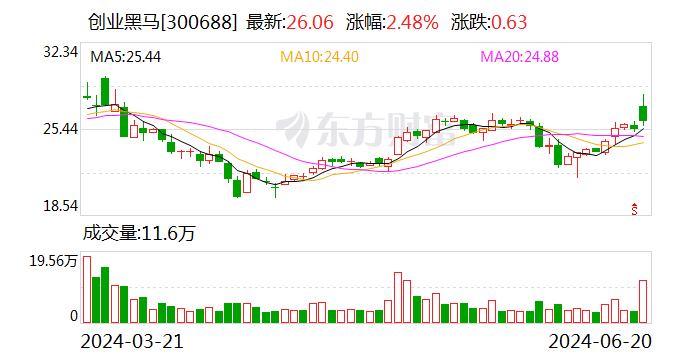 创业黑马：首次回购11.37万股  第1张