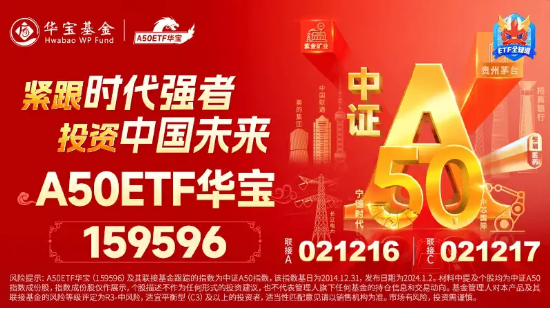 A50核心资产随市下行，龙头宽基A50ETF华宝（159596）人气逆市攀升！换手率高居同类第一，全天溢价交易！  第3张