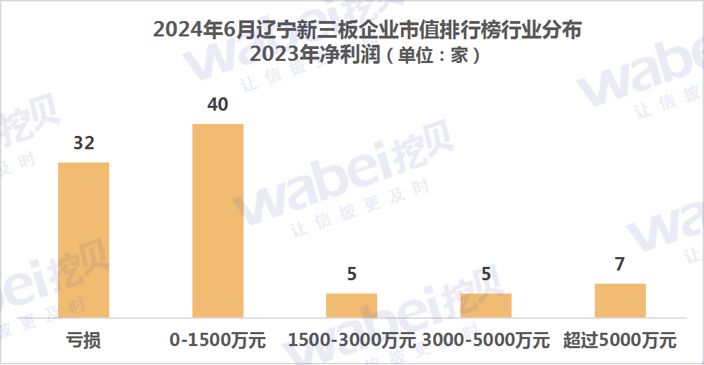 2024年6月辽宁新三板企业市值排行榜：12家企业去年净利润超3000万元  第3张