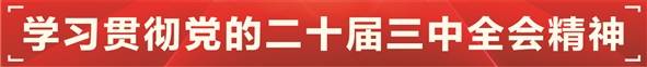 推动区域一体化 以高质量发展建成国际一流湾区  第1张