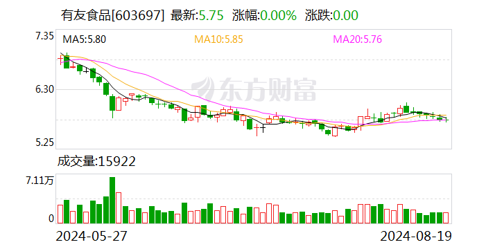 有友食品：补选赵吟为公司第四届董事会独立董事  第1张