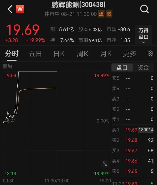 直线20cm涨停，官宣重大突破！复合增速达52%，这个热门行业高景气，高增长低估值股揭秘  第1张