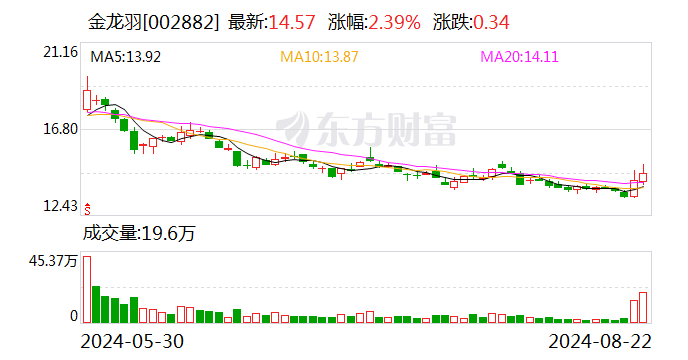 金龙羽：2024年半年度净利润约8359万元 同比下降31.14%  第1张