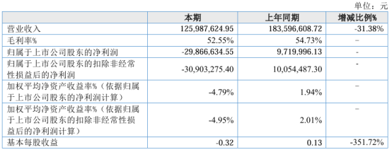 立方控股2024年上半年营收1.26亿 城市停车项目下降  第1张