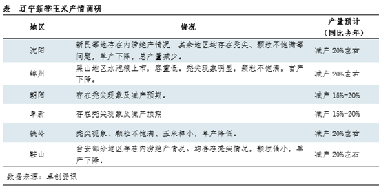 东北产情调研I：辽宁新玉米存减产预期  第4张