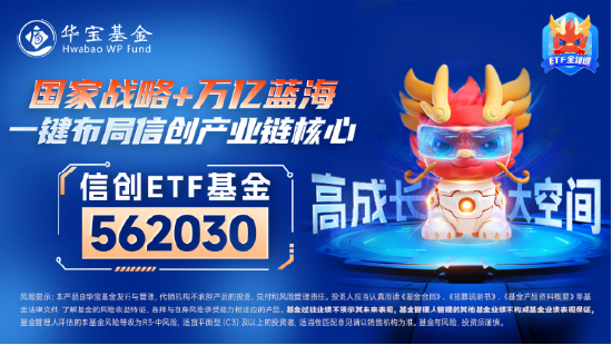 超百亿主力资金狂涌！信创ETF基金（562030）劲涨1.25%，天融信、浪潮软件涨停，机构：重点关注三方面催化  第5张