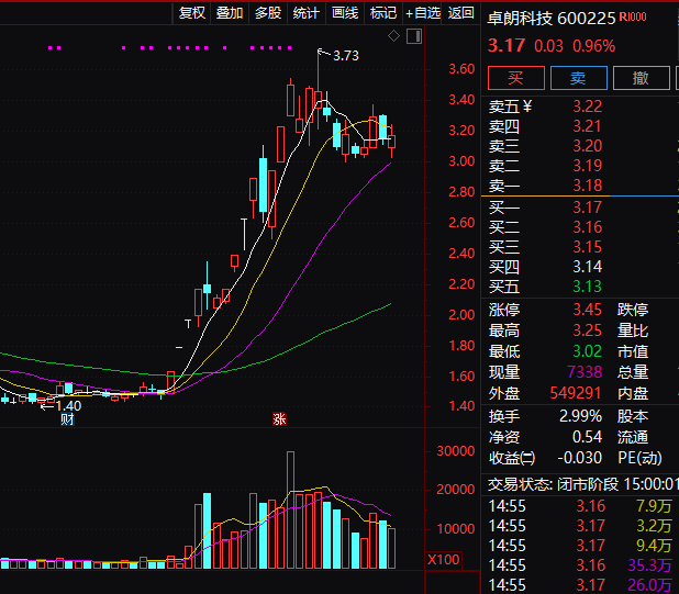 连续5年造假！这只A股，面临强制退市！  第3张