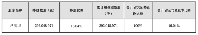 大股东持股遭八次轮候冻结，岭南股份流动性危机何解  第1张