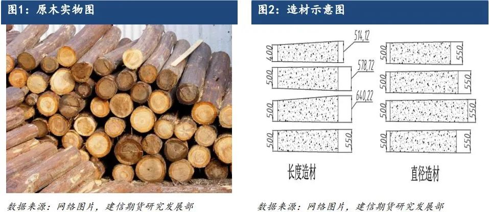 原木期货上市系列专题一：原木基础知识及产业链格局  第2张