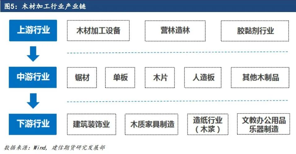 原木期货上市系列专题一：原木基础知识及产业链格局  第5张