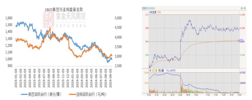 豆粕：难抓的豆粕  第3张